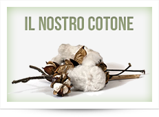 cotone organico
